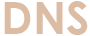 DNS logo